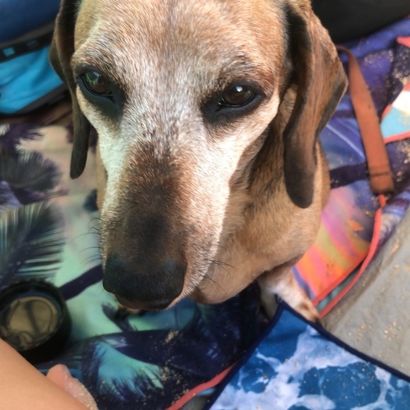 Meet your Posher, Adrian - Picture 3 of 3